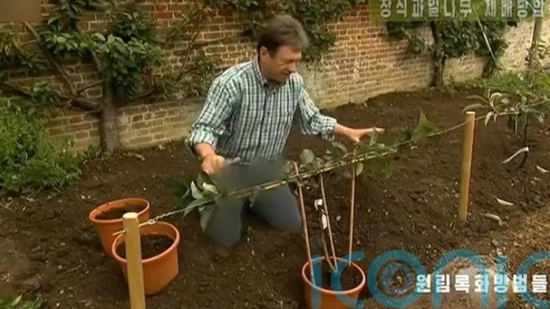 Alan Titchmarsh’s trousers censored on North Korean TV