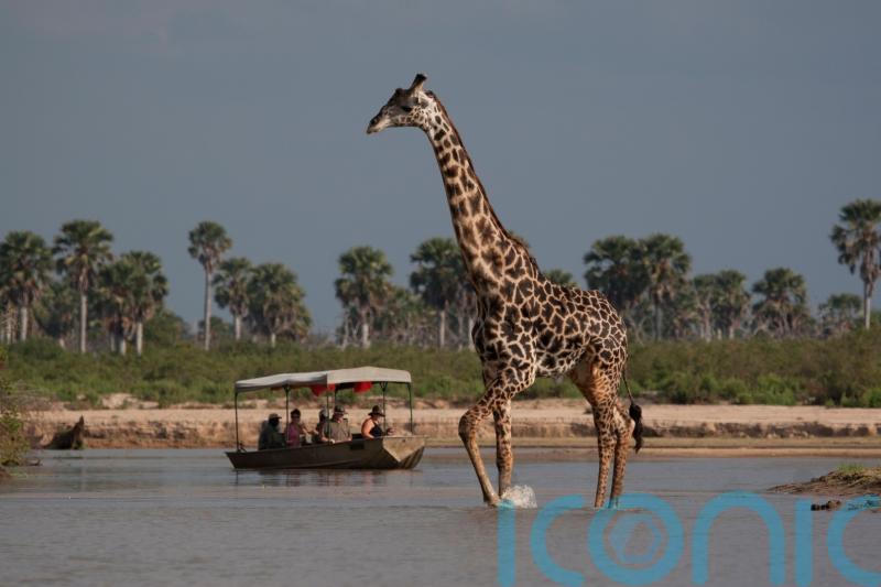 How do you choose an ethical wildlife holiday?