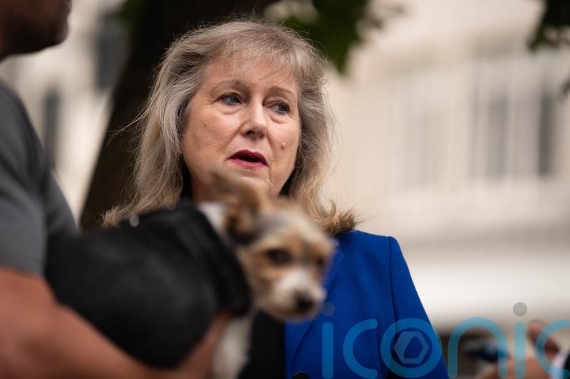 Labour calls out Tory mayoral candidate Susan Hall over ‘hurty words’ response