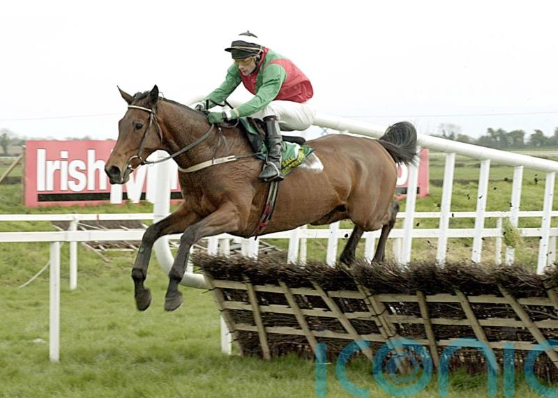 Hugely-popular hurdler Limestone Lad dies at the age of 32
