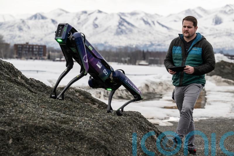 Robot dog disguised as coyote lands job scaring birds away from runway