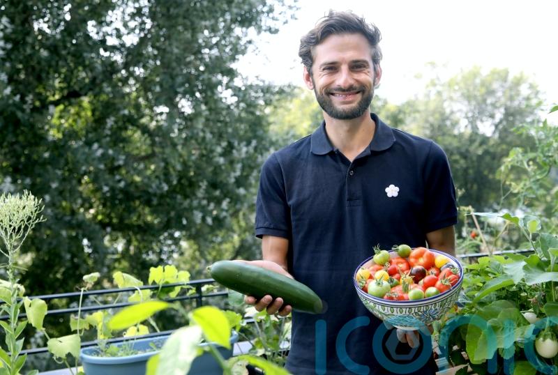 Time-saving tips for the busy balcony gardener
