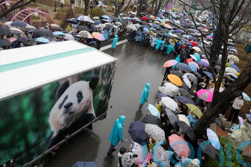 South Koreans bid emotional farewell to beloved panda leaving for China