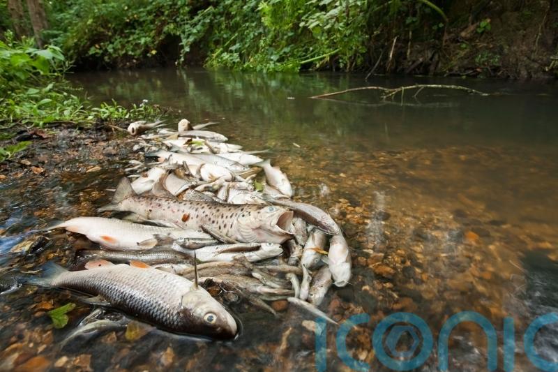 Environment watchdog boss had £100 dinner with water company lobbyists