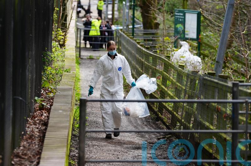 Murder arrest after human torso found at nature reserve in Salford