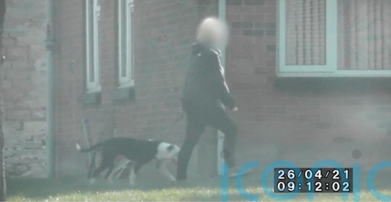 Woman who made £500,000 fraudulent injury claim given suspended sentence