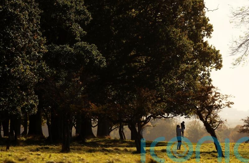Living near green spaces ‘linked with fewer emotional issues in preschoolers’