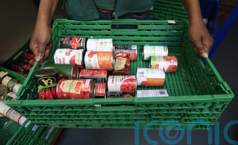 Food banks are busier, but we do not know exactly how many people use them