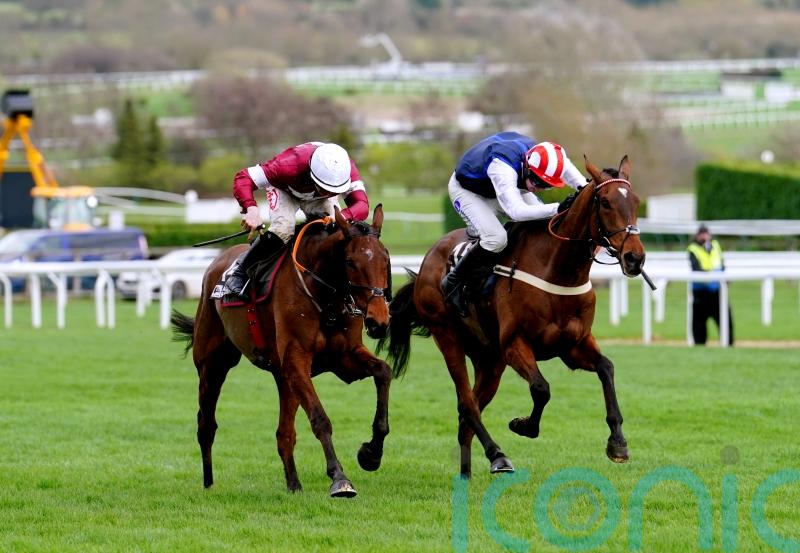 Pauling believes Jukebox will be on song in Sefton