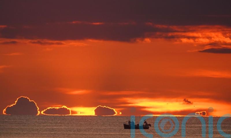 Assessment: less than half fish quotas agreed by UK in line with science advice