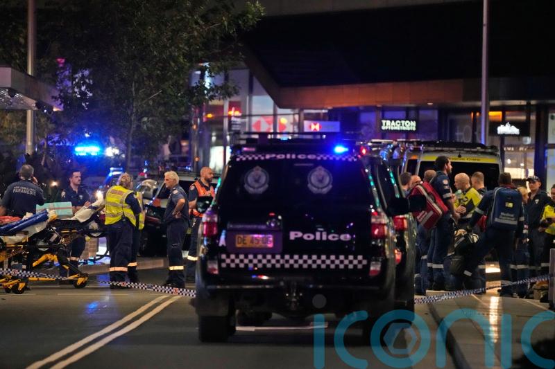 Sydney attacker advertised himself as male escort and tried to join gun groups