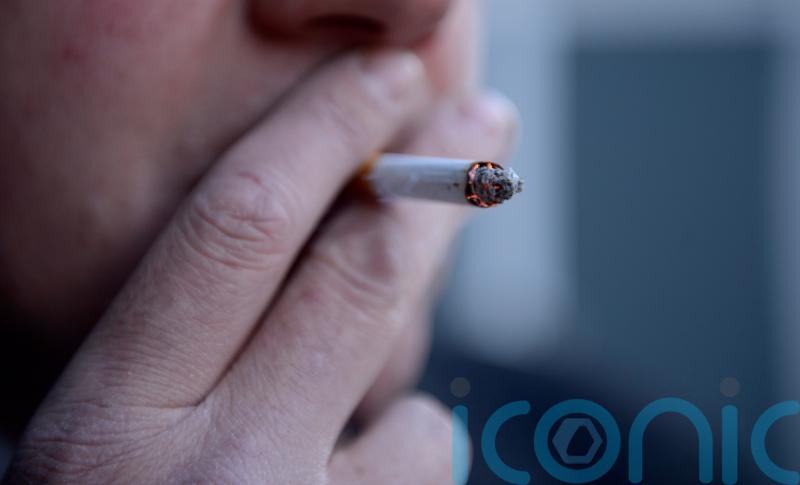 What is the smoking ban Bill, who opposes it and what happens next?