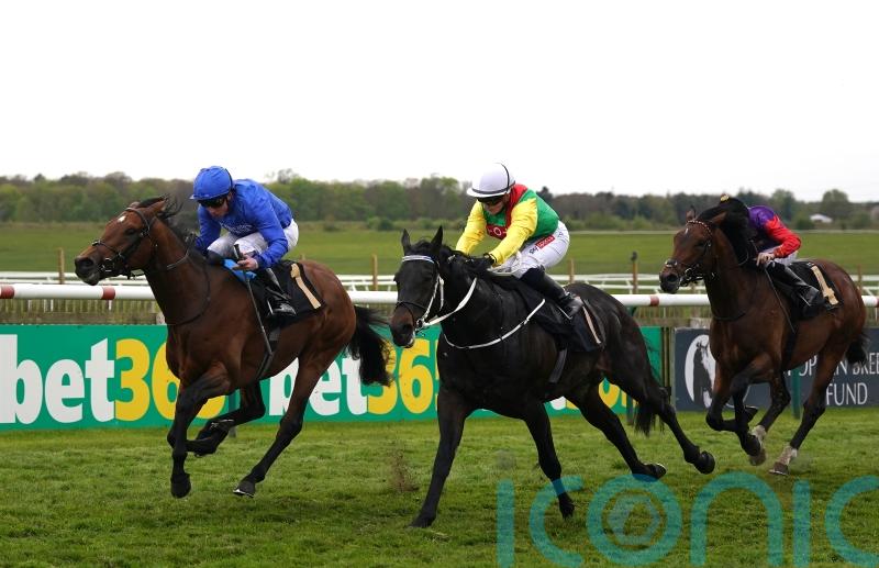 Endless Victory puts himself in line for Classic trial test