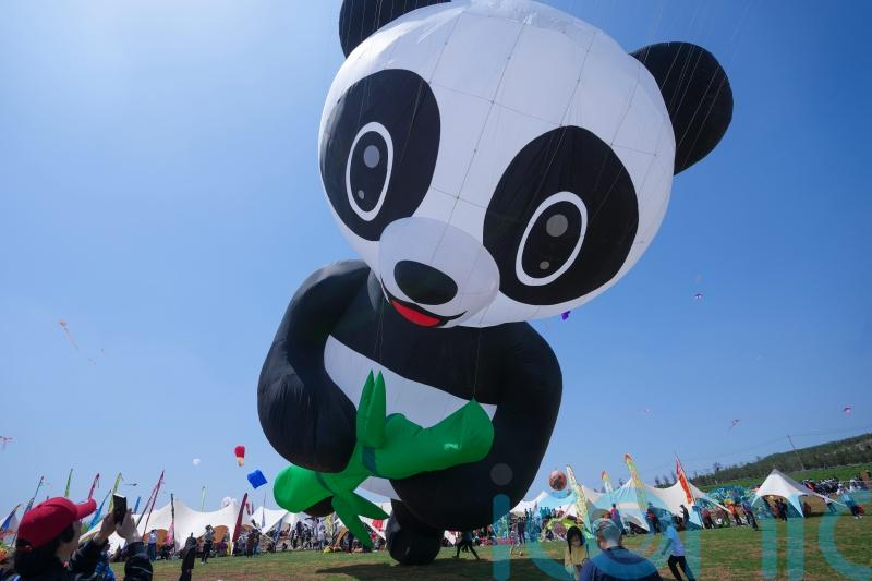 In Pictures: Colourful creations fill sky at Chinese kite festival