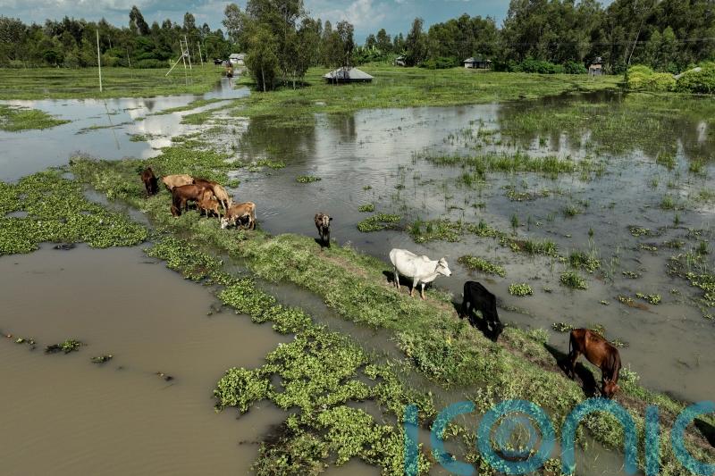 Burundi hard-hit as flooding causes havoc across East Africa