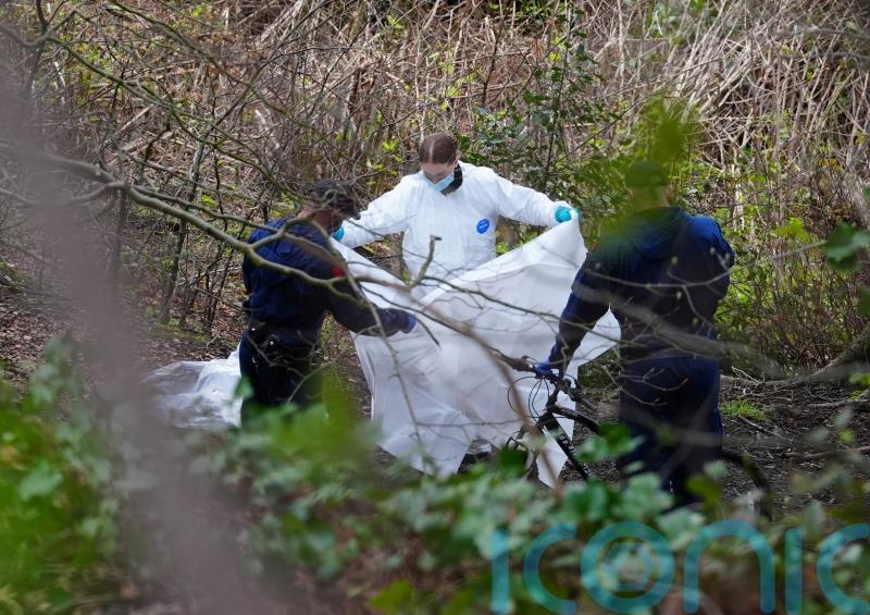 More crimes scenes opened after ‘further breakthroughs’ in torso murder probe