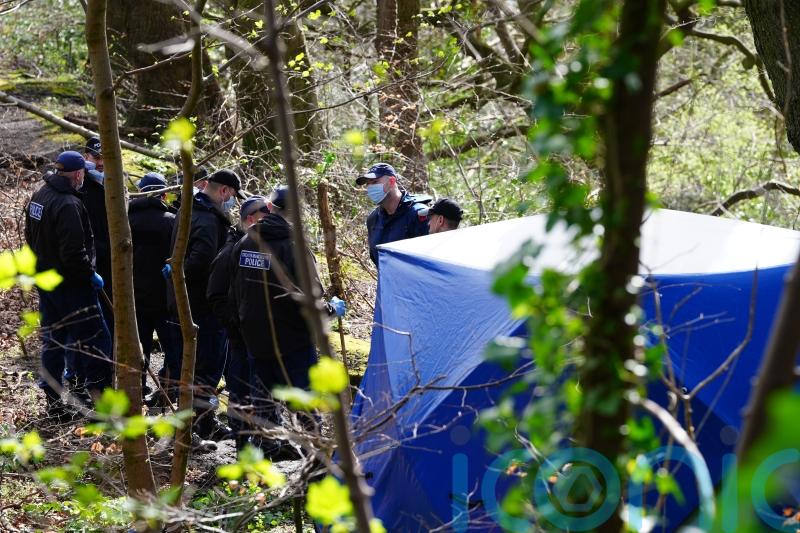 More human remains found at two locations in torso murder probe