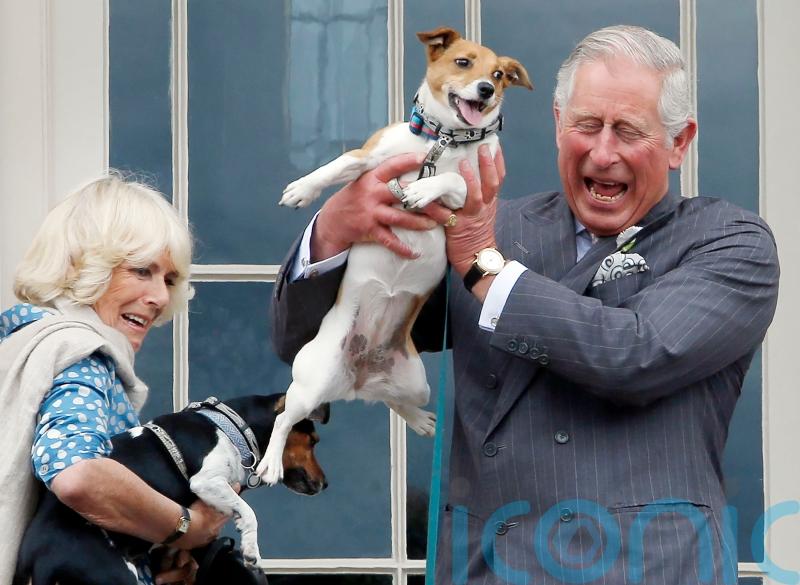Camilla’s dogs to appear in sculpture form at first Highgrove shop at Chelsea
