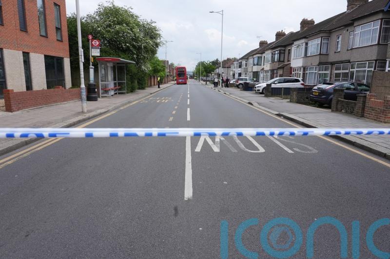 Boy, 14, killed in Hainault sword attack named