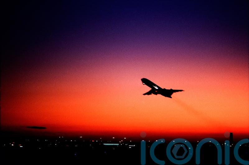 Snakes on a plane &ndash; almost &ndash; as reptiles found hidden in passenger&rsquo;s trousers