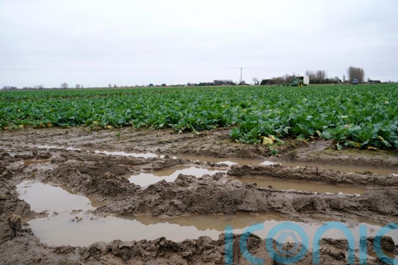 Farmer confidence at all-time low as 82% hit by wet weather, unions warn