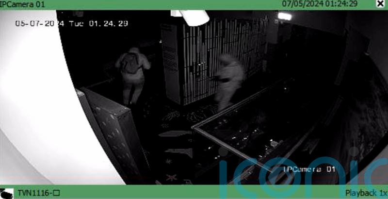 Police release CCTV of duo suspected of stealing gold artefacts from museum
