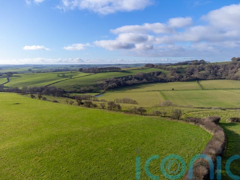 Natural England partners wildlife trust in reduced pollution housing plan