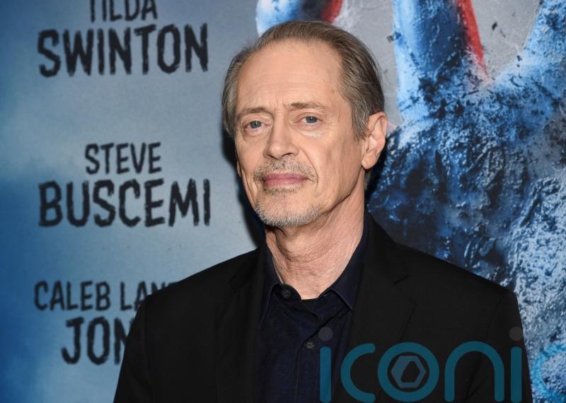 Actor Steve Buscemi punched by man in New York