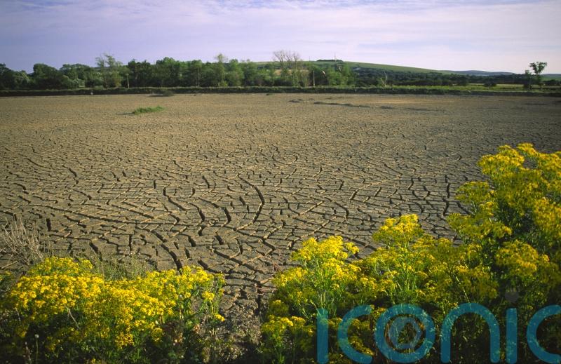 Researchers warn climate change is likely to aggravate brain conditions