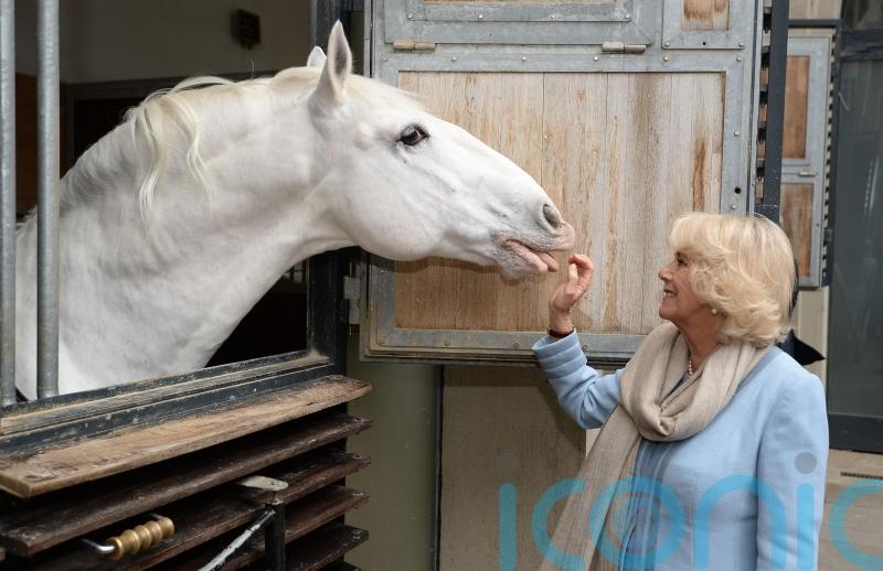 World’s oldest riding school loved by royal family to tour England and Scotland