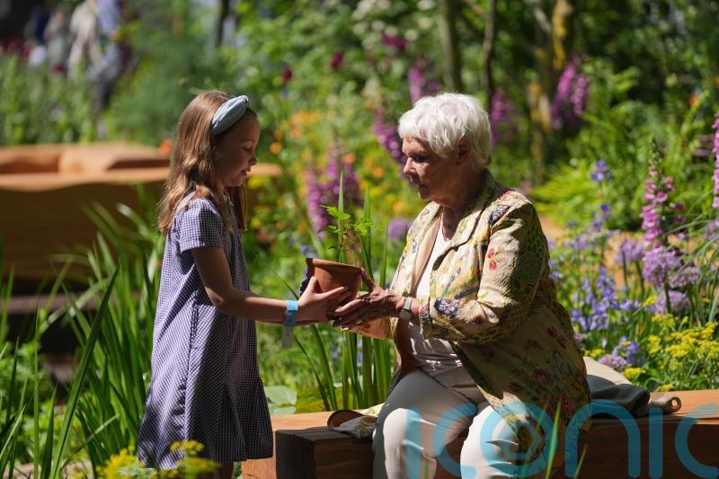 Drought-resistant plants, green innovation and flood storage feature at Chelsea