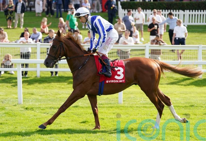 Menuisier has exciting targets in the pipeline for Devil’s Point
