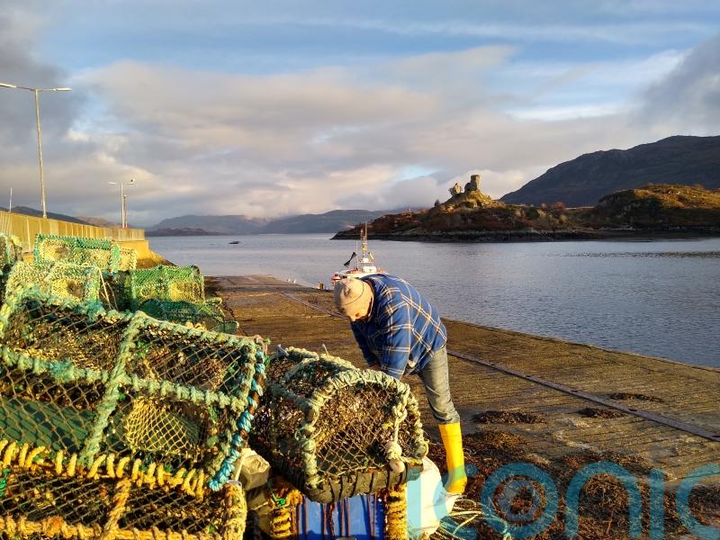 Successful trial of sinking fishing rope raises hope for cutting whale deaths