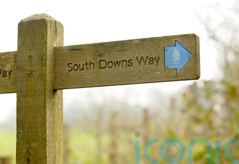 South Downs National Park launches green investment scheme to boost biodiversity
