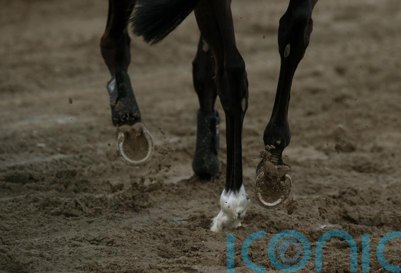 Professional horse rider dies in fall during international tournament in Devon