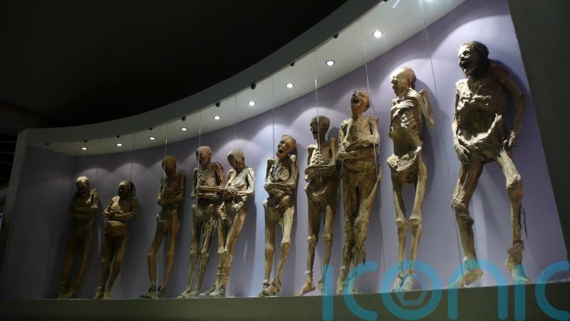 Fury at Mexican government after ancient mummy loses arm in renovation bungle