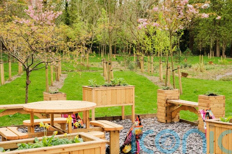 Projects to create green spaces for patients to receive share of £1m