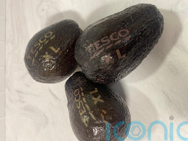 Supermarket to use laser etchings on avocados instead of stickers in green move