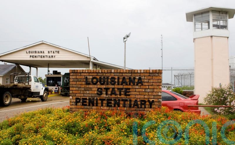US state’s legislators approve surgical castration option for paedophiles