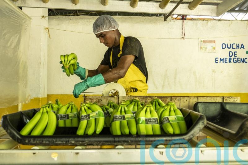 British shoppers&rsquo; support for Fairtrade holds strong as organisation turns 30