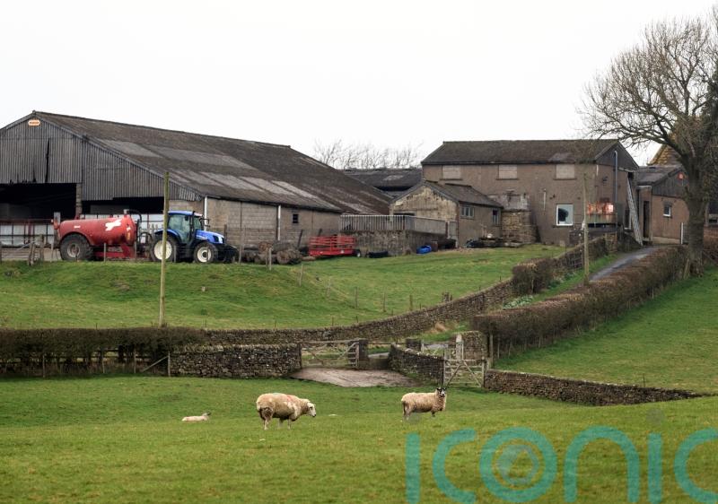 Planning reform would sway 70% of rural business owners’ votes, poll finds
