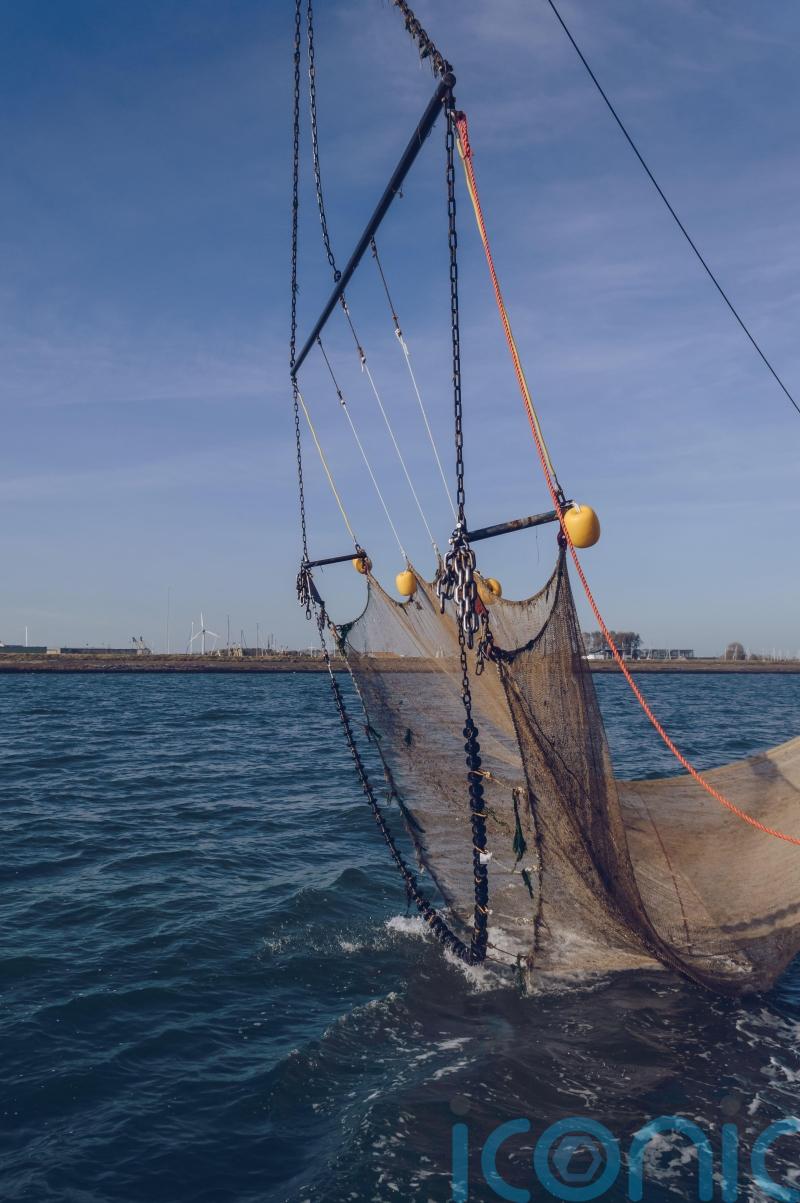 Public support ban of destructive fishing method in marine sanctuaries – poll