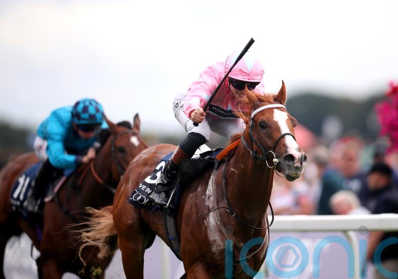 Sandown Charge still on the agenda for Live In The Dream
