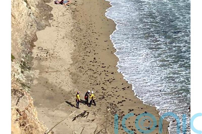 Kite surfer rescued from remote US beach after making ‘help’ sign with rocks