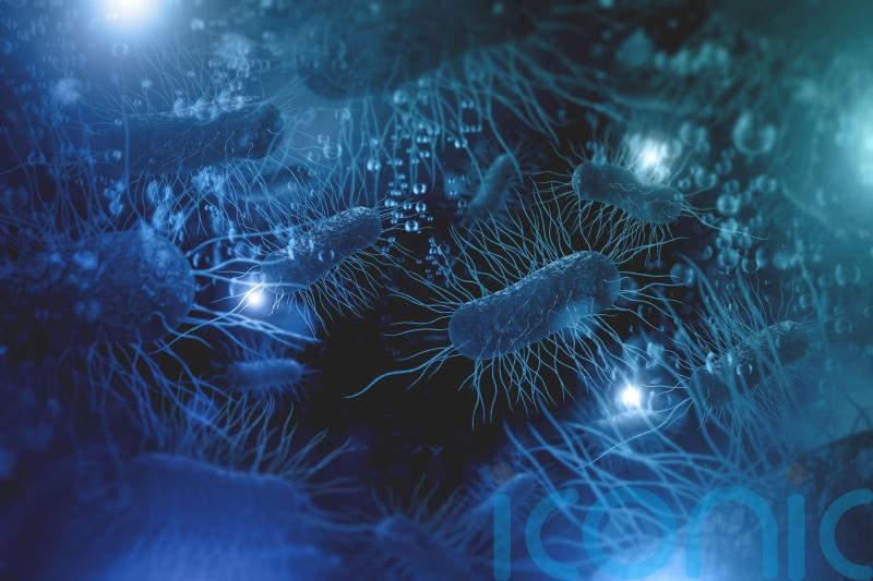 Full list of food products recalled over E.coli fears