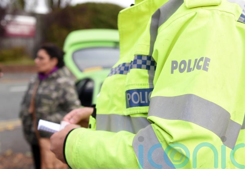 Man, 24, seriously injured in Aberavon dog attack