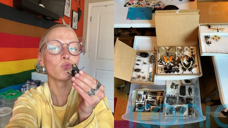 Artist makes miniature bug sculptures from insects riding bicycles to ‘gender-bending’ beetles playing with sex toys