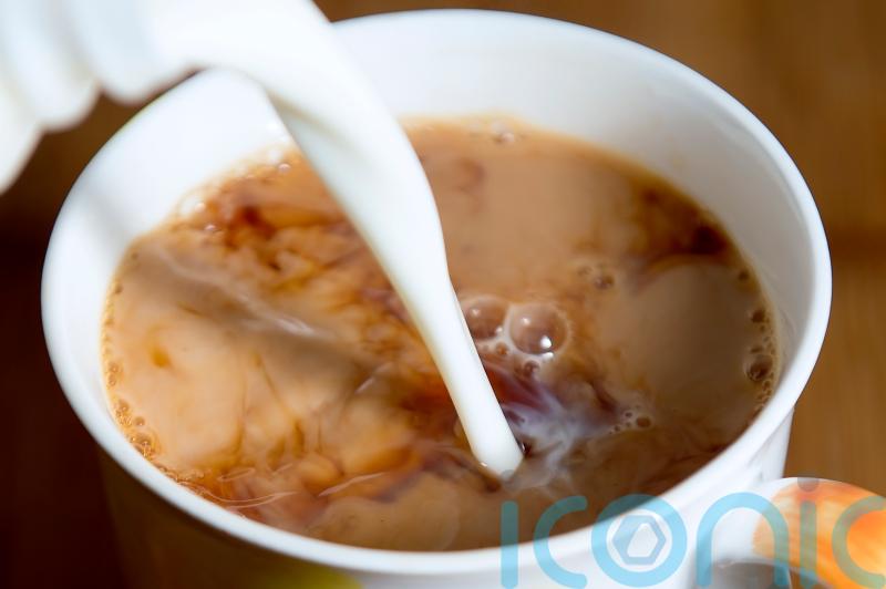 Batches of tea found to contain insects being recalled