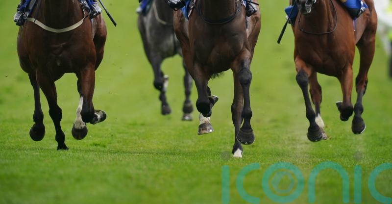Betting with inside knowledge: the rules