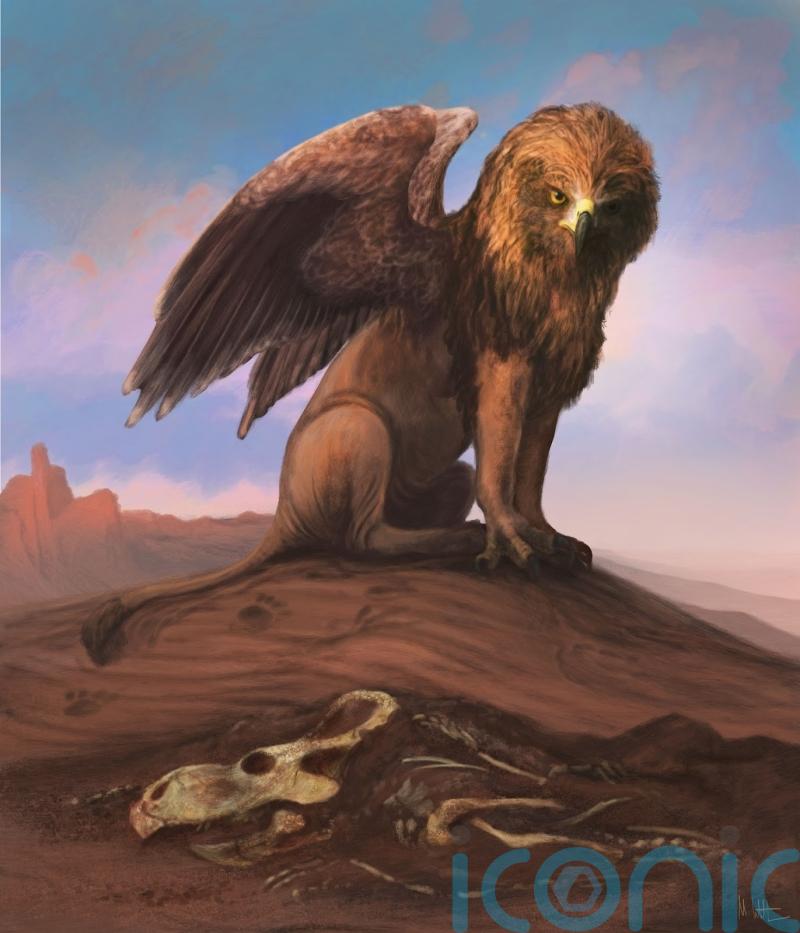 Scientists dismiss theory that griffins were inspired by dinosaur fossils